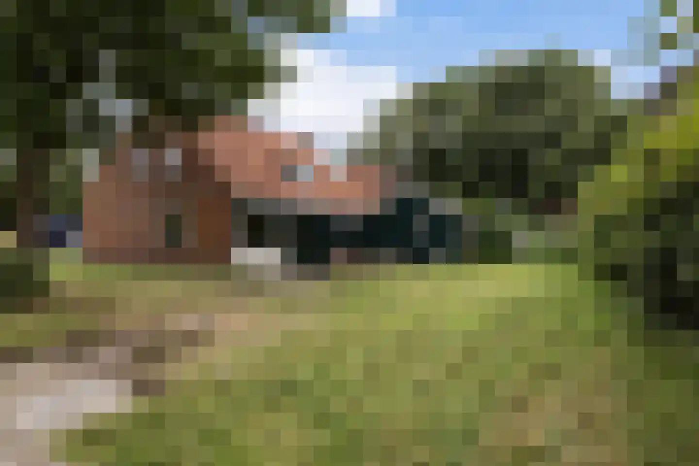 Molenlaan 7 Nieuw Beerta thumbnail 18