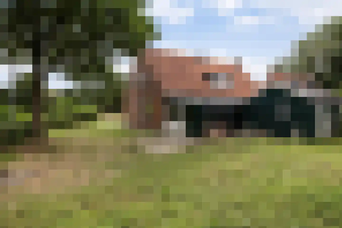 Molenlaan 7 Nieuw Beerta thumbnail 19