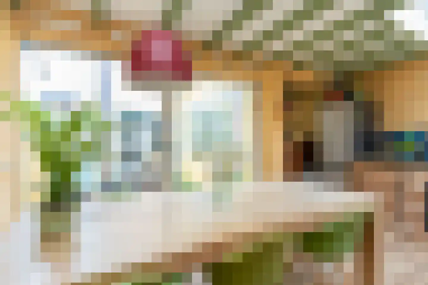 Molenlaan 8 Bussum thumbnail 11
