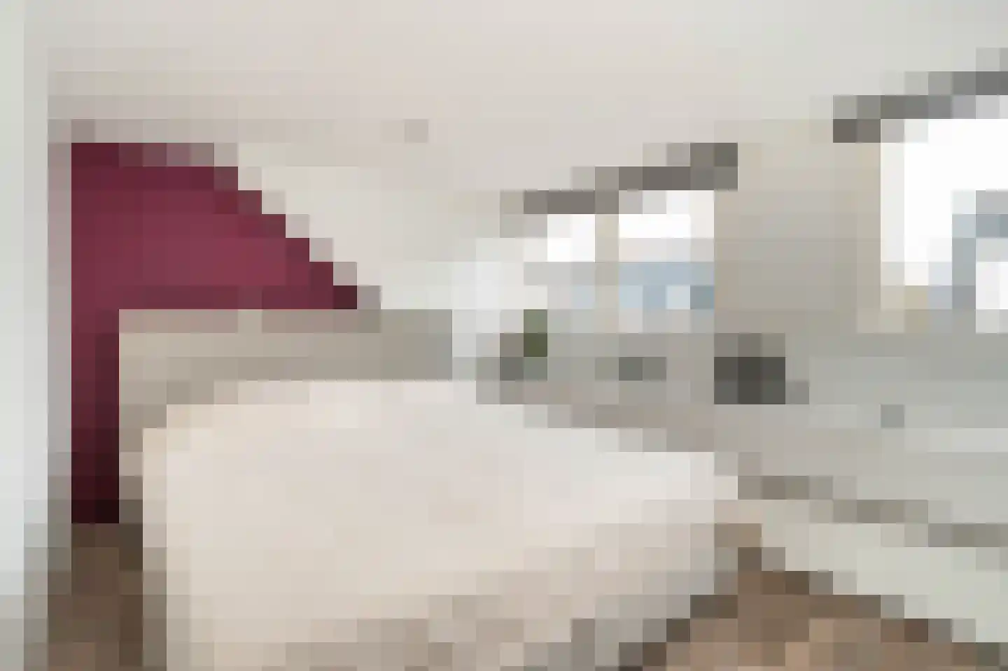 Molenlaan 8 Bussum thumbnail 16