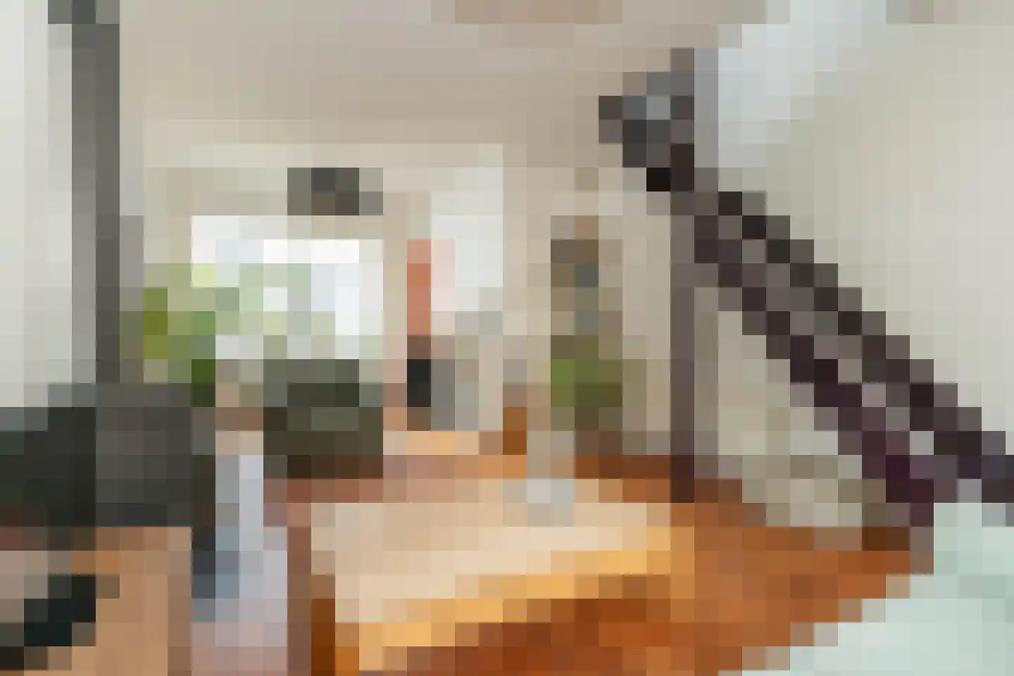 Molenlaan 8 Bussum thumbnail 4