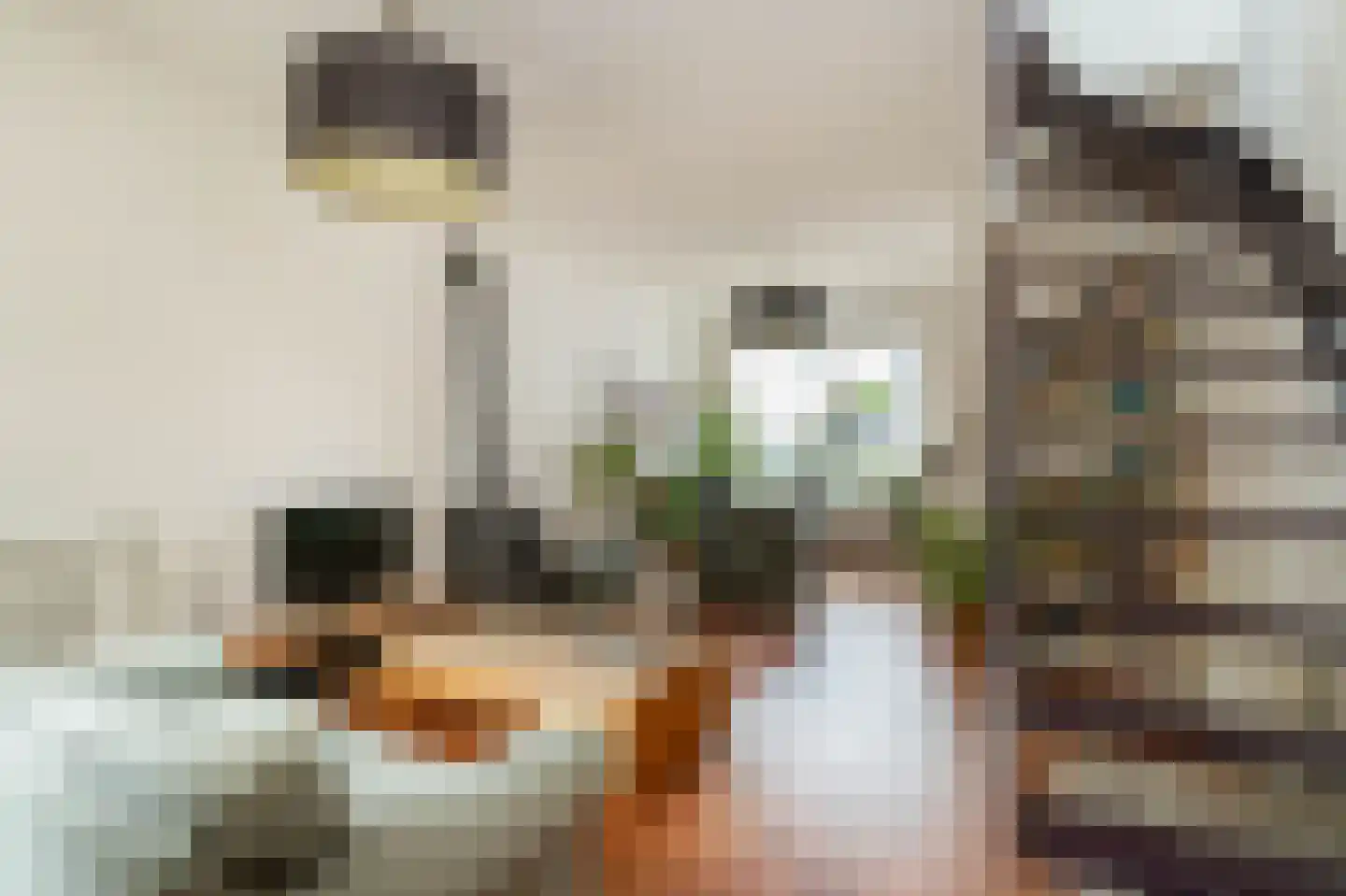 Molenlaan 8 Bussum thumbnail 5