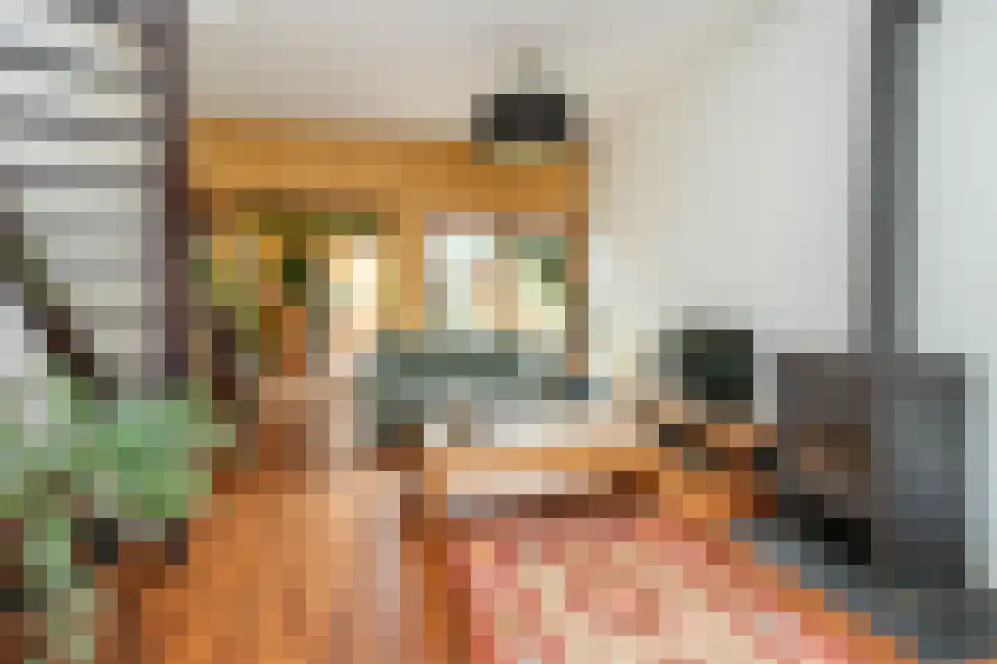 Molenlaan 8 Bussum thumbnail 7