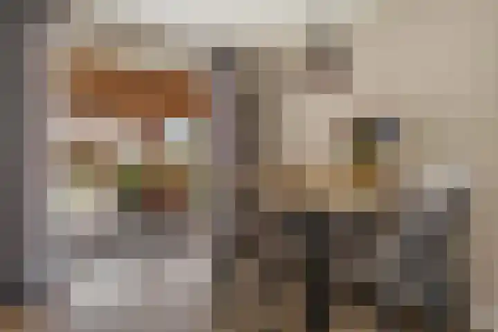 Molenlaan 8 Meeden thumbnail 11