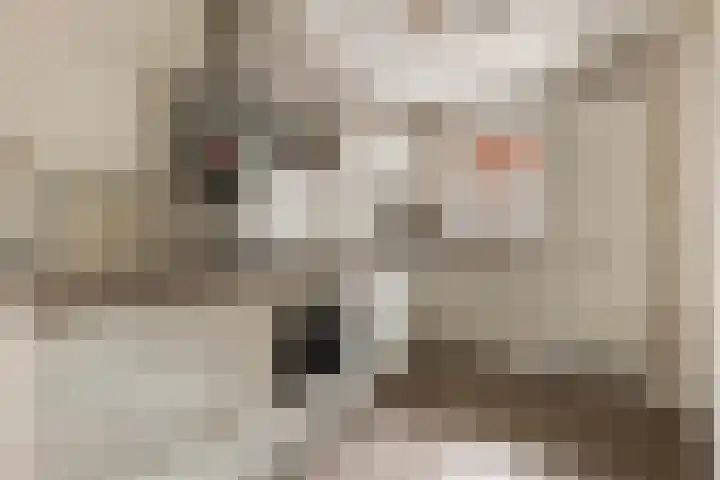 Molenlaan 8 Meeden thumbnail 12