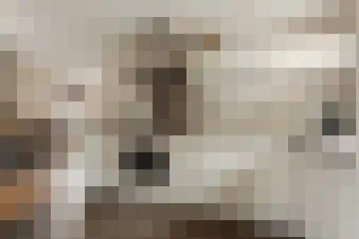 Molenlaan 8 Meeden thumbnail 14