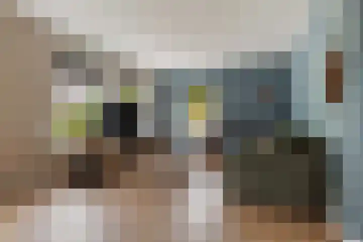 Molenlaan 8 Meeden foto 2