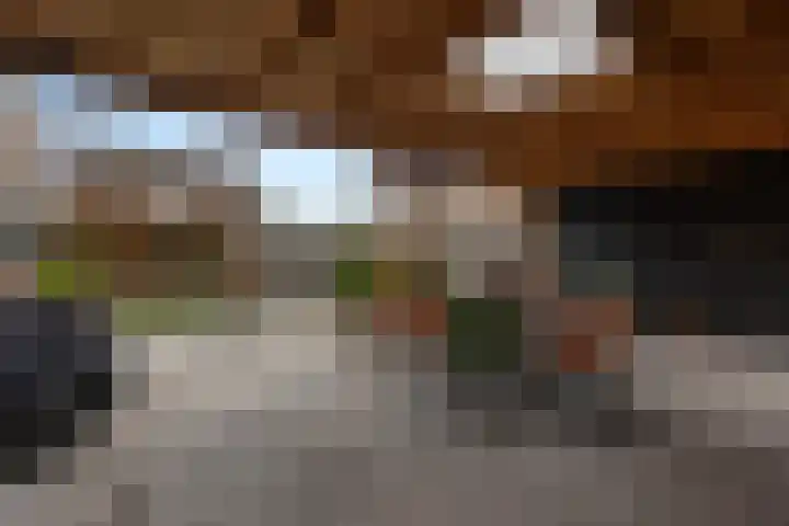 Molenlaan 8 Meeden thumbnail 24