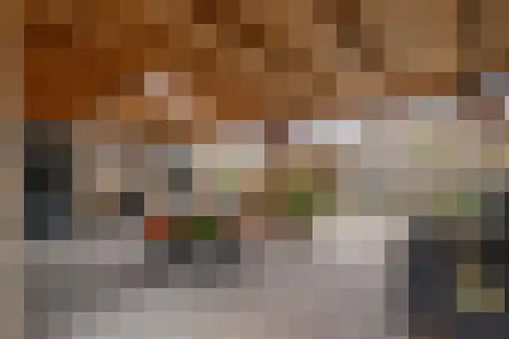 Molenlaan 8 Meeden thumbnail 25