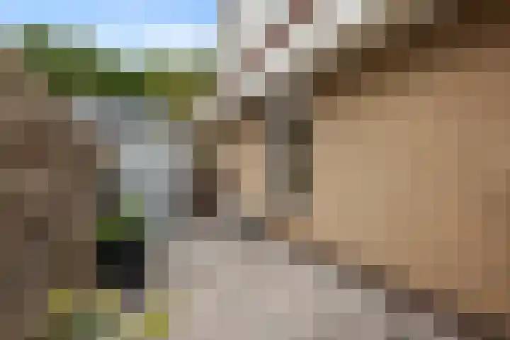 Molenlaan 8 Meeden thumbnail 29