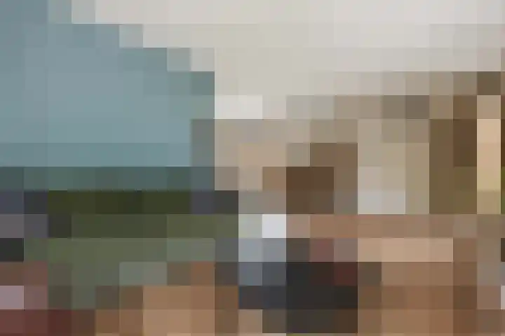 Molenlaan 8 Meeden thumbnail 9