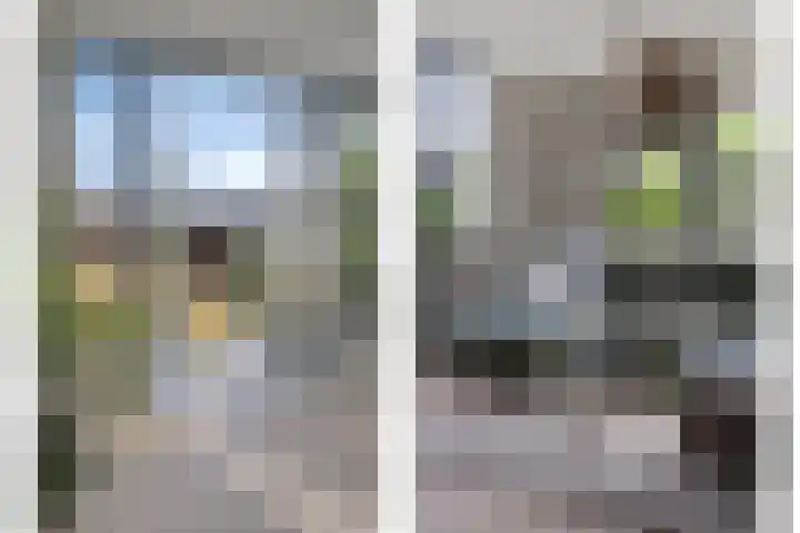 Molenlaan 9 Dinteloord thumbnail 10