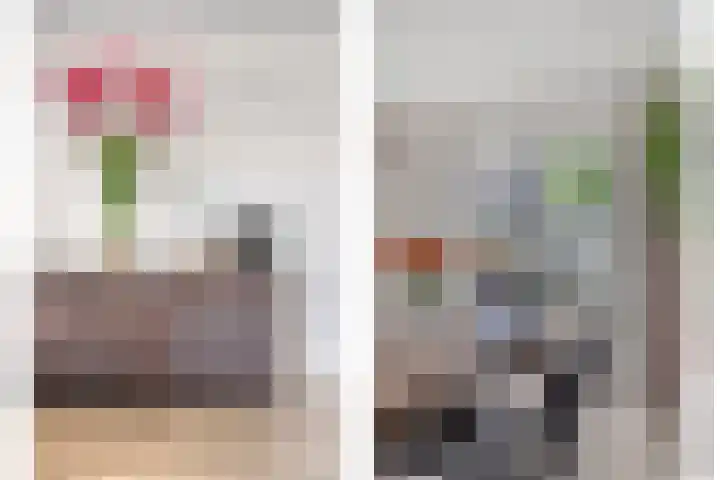 Molenlaan 9 Dinteloord thumbnail 12