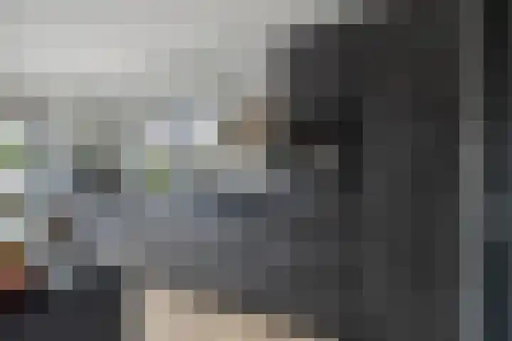 Molenlaan 9 Dinteloord thumbnail 18