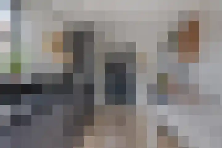 Molenlaan 9 Dinteloord thumbnail 20