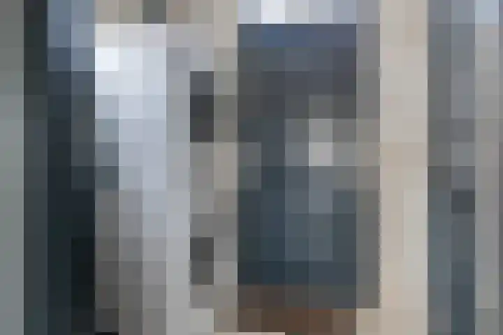 Molenlaan 9 Dinteloord thumbnail 21
