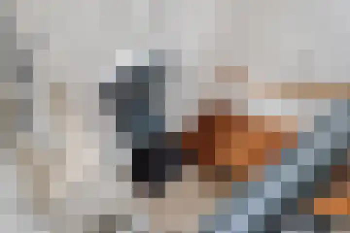 Molenlaan 9 Dinteloord thumbnail 23