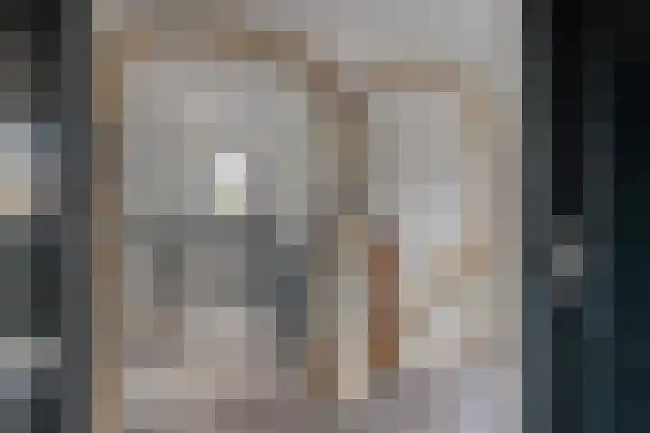 Molenlaan 9 Dinteloord thumbnail 24
