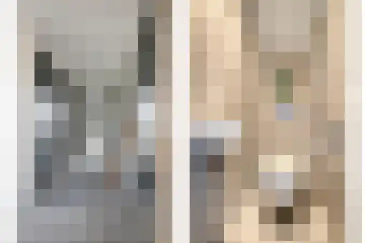 Molenlaan 9 Dinteloord thumbnail 25