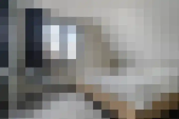 Molenlaan 9 Dinteloord thumbnail 26
