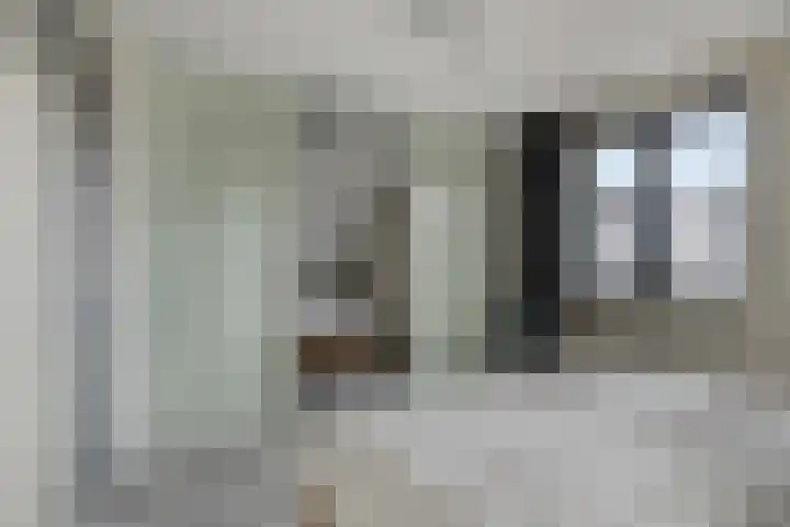 Molenlaan 9 Dinteloord thumbnail 27