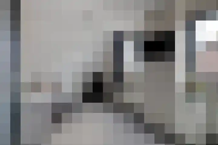 Molenlaan 9 Dinteloord thumbnail 28