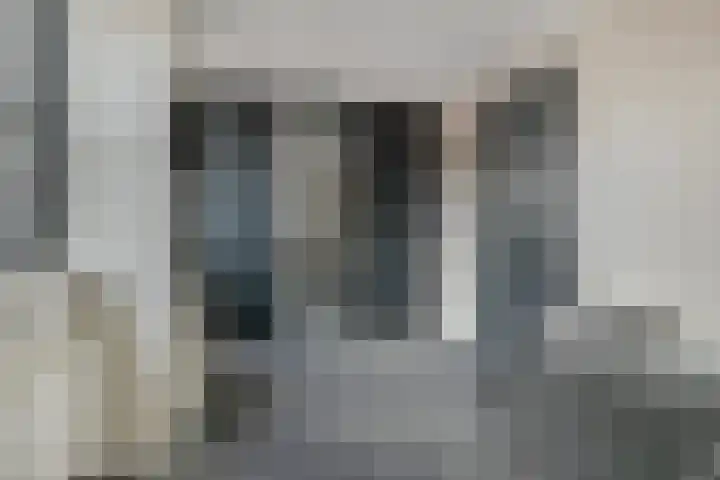 Molenlaan 9 Dinteloord thumbnail 29