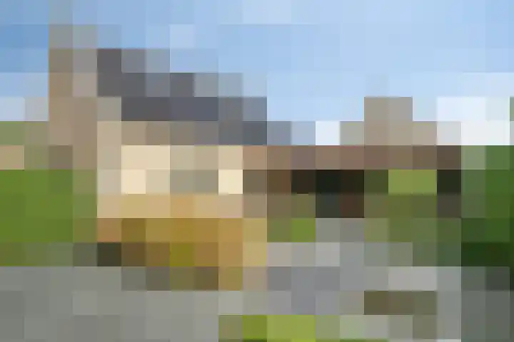 Molenlaan 9 Dinteloord foto 3
