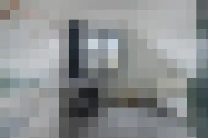 Molenlaan 9 Dinteloord thumbnail 30