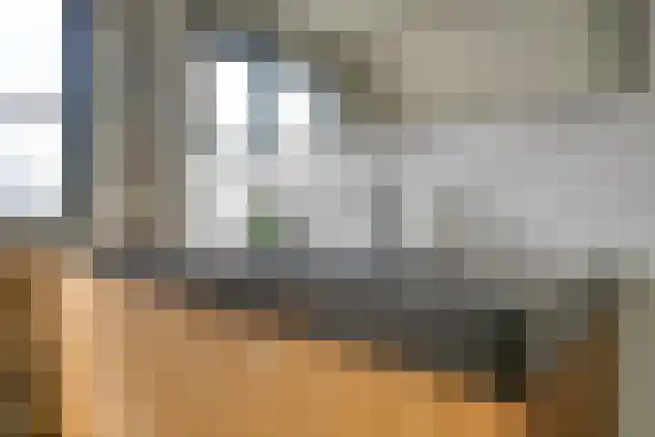 Molenlaan 9 Dinteloord thumbnail 33