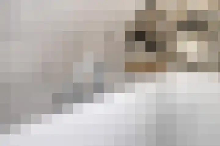 Molenlaan 9 Dinteloord thumbnail 35
