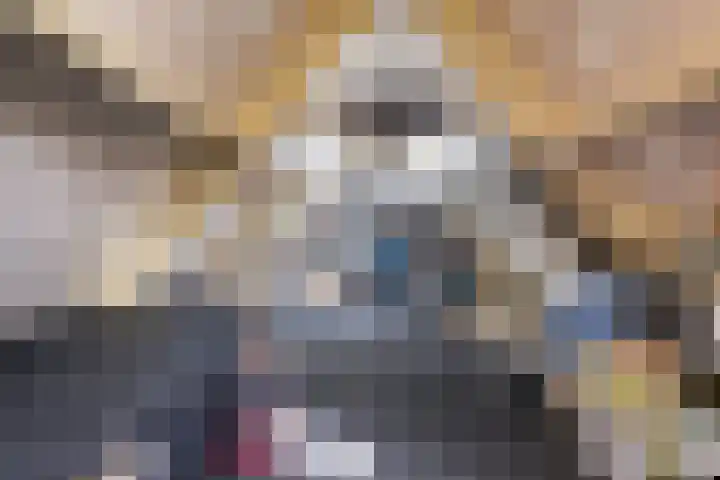 Molenlaan 9 Dinteloord thumbnail 38
