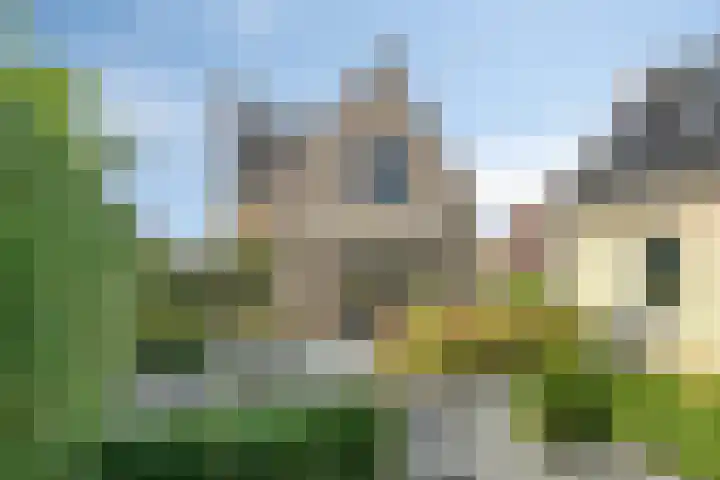 Molenlaan 9 Dinteloord thumbnail 39