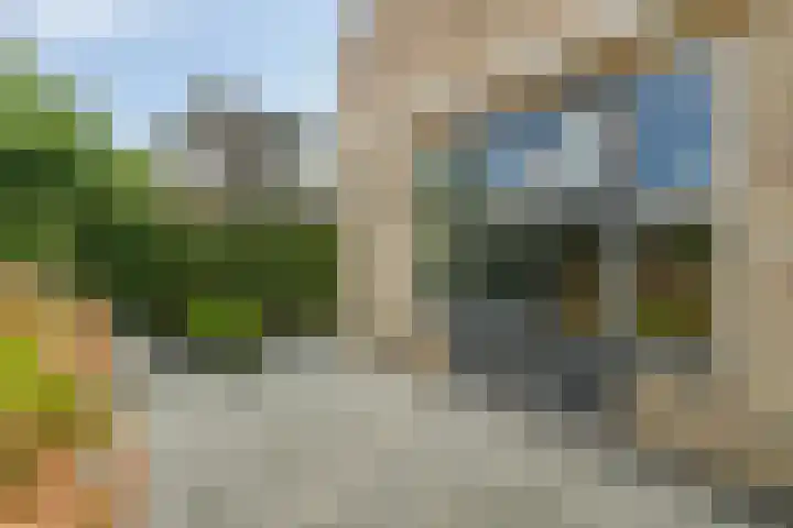 Molenlaan 9 Dinteloord thumbnail 40