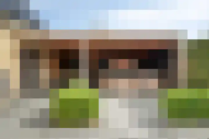 Molenlaan 9 Dinteloord thumbnail 41