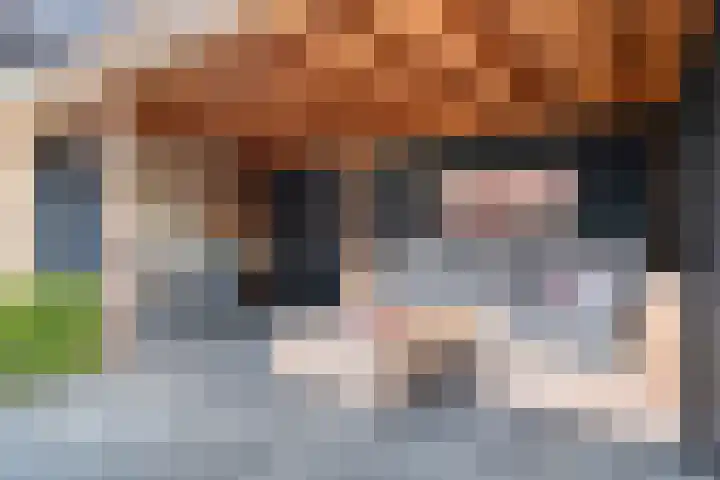 Molenlaan 9 Dinteloord thumbnail 42