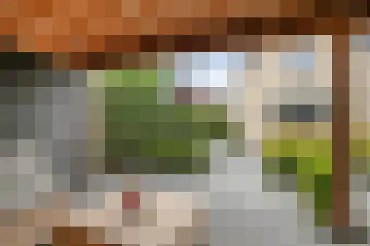 Molenlaan 9 Dinteloord thumbnail 44