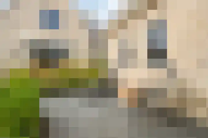 Molenlaan 9 Dinteloord thumbnail 45