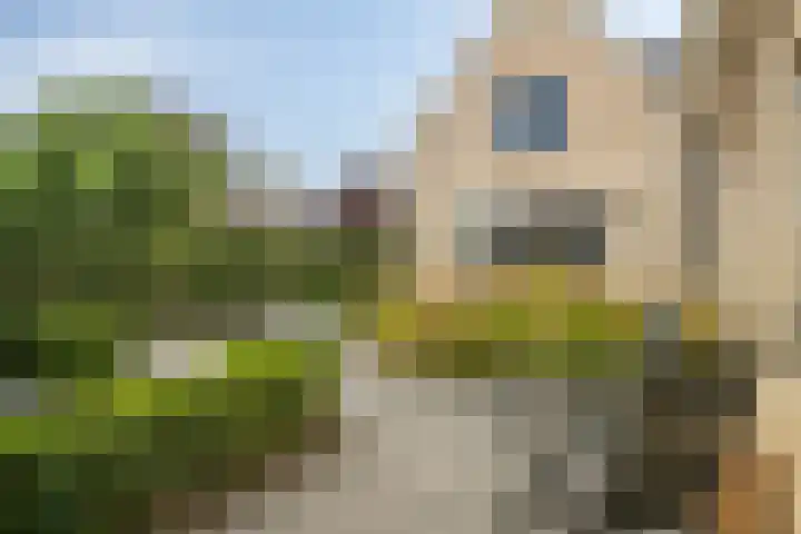 Molenlaan 9 Dinteloord thumbnail 46
