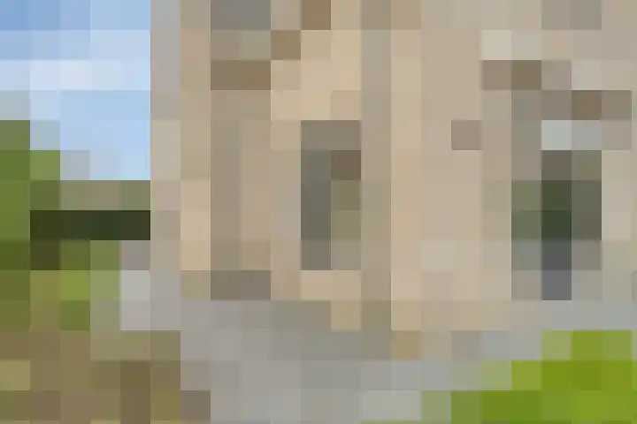 Molenlaan 9 Dinteloord thumbnail 47