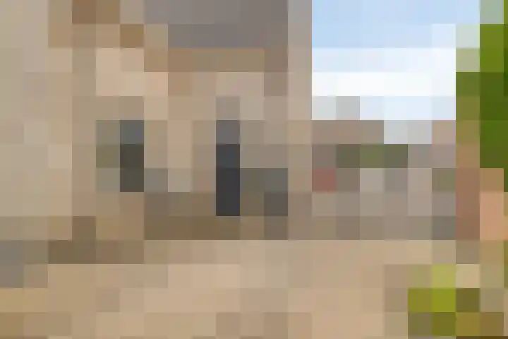 Molenlaan 9 Dinteloord thumbnail 52