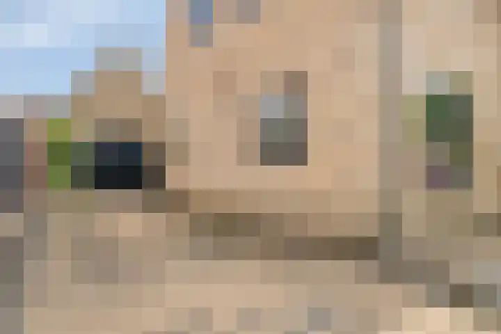 Molenlaan 9 Dinteloord thumbnail 53