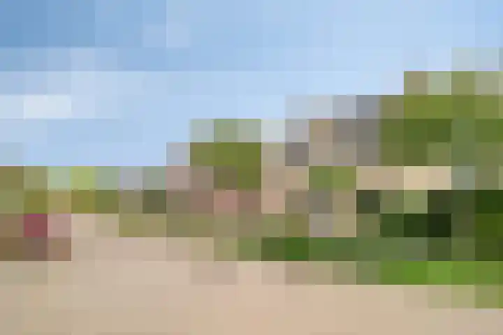 Molenlaan 9 Dinteloord thumbnail 55