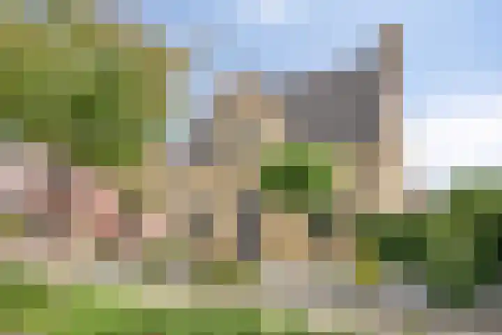 Molenlaan 9 Dinteloord thumbnail 56
