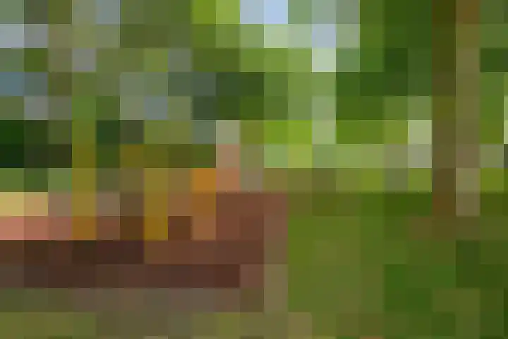 Molenlaan 9 Dinteloord thumbnail 58