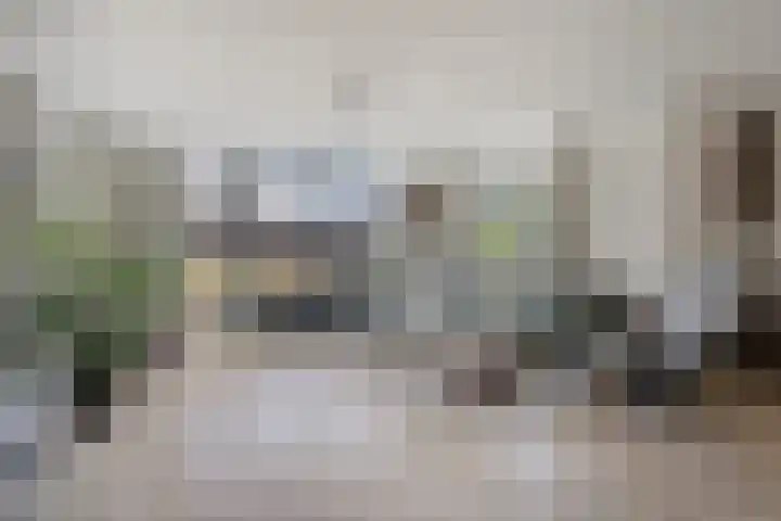 Molenlaan 9 Dinteloord thumbnail 7