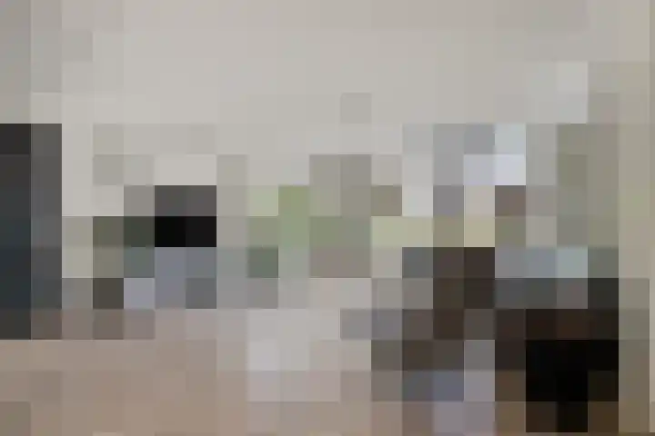 Molenlaan 9 Dinteloord thumbnail 8