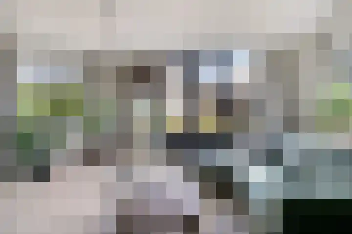 Molenlaan 9 Dinteloord thumbnail 9