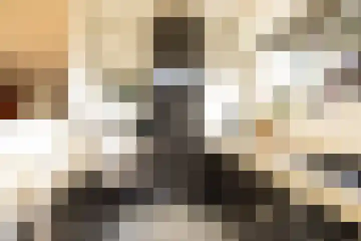 Molenlaan 94 Rotterdam thumbnail 10