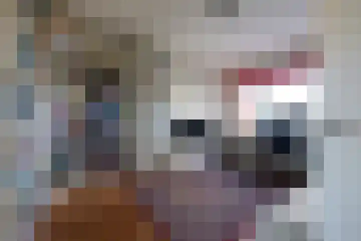 Molenlaan 94 Rotterdam thumbnail 17